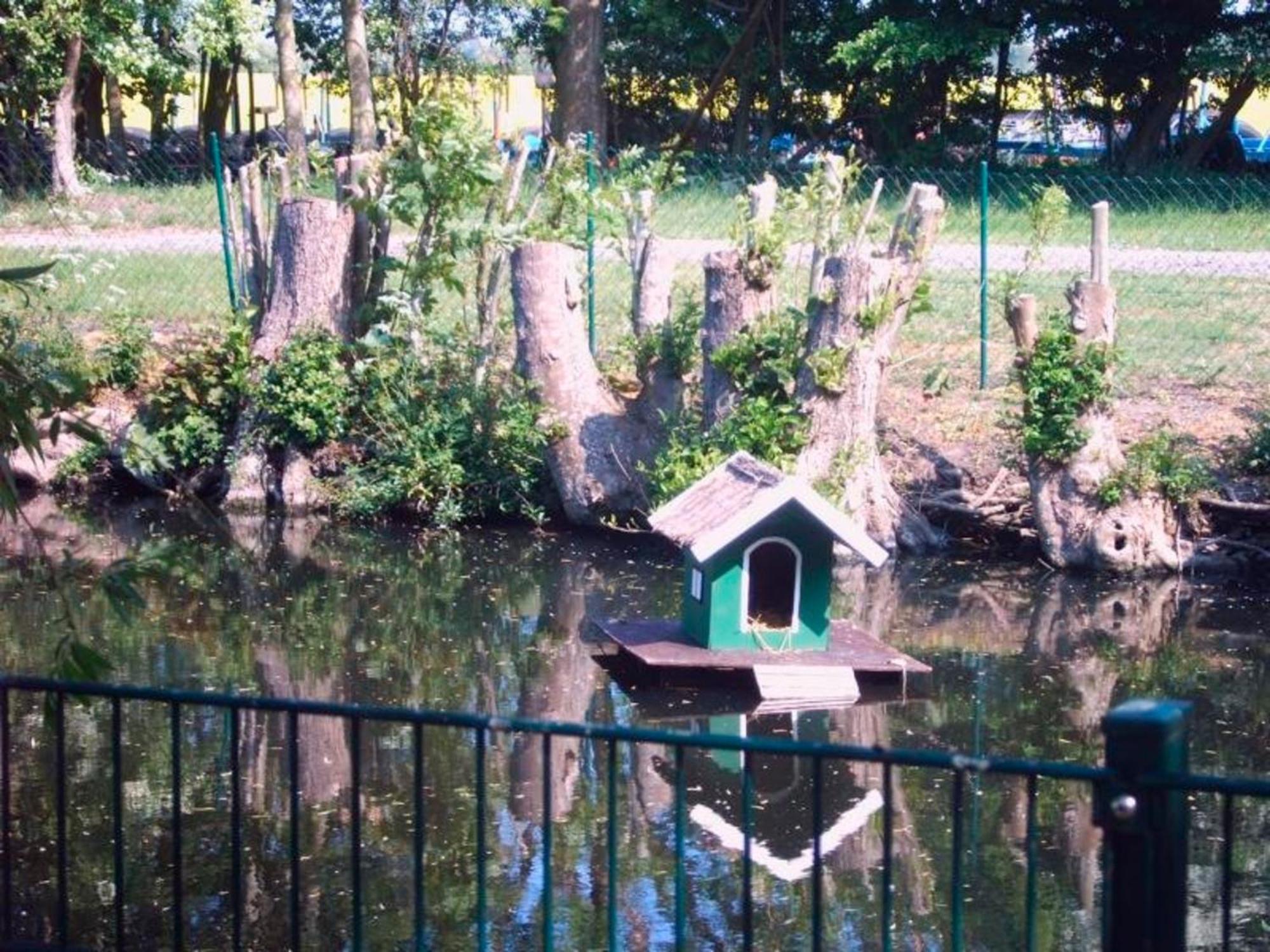 "Hoeper Mittelhof" Doppelzimmer Nr4 Lemkendorf Luaran gambar